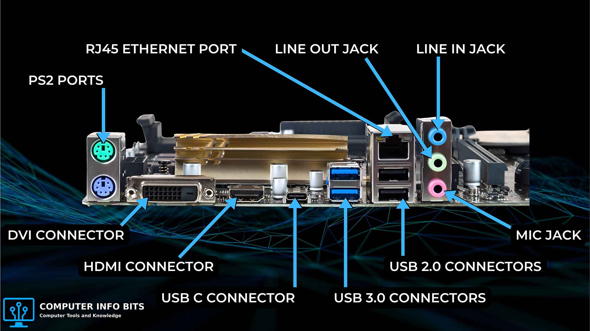 Rear motherboard ports on the back panel