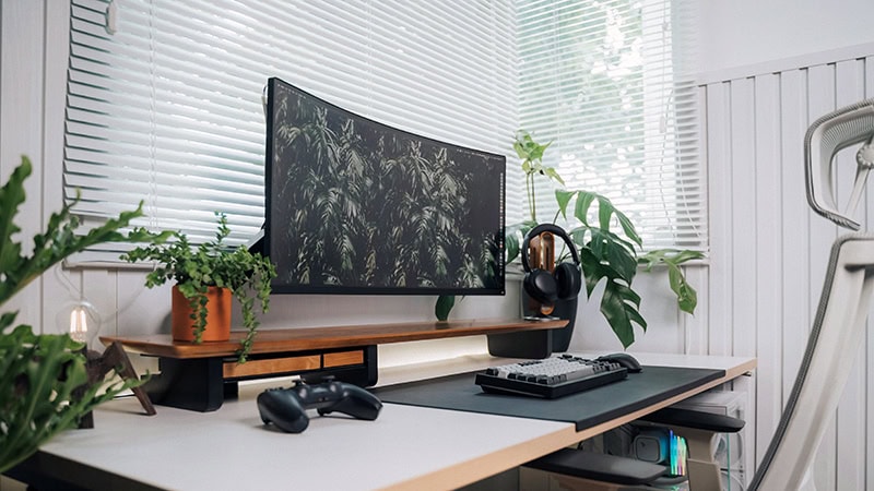 Monitor