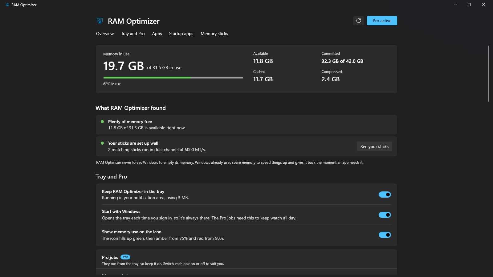The full report showing 19.7 GB of 31.5 GB in use and two matching sticks running in dual channel