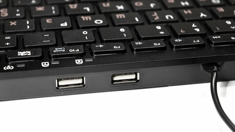 Why Do Keyboards Have 2 USB Ports?