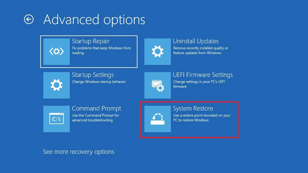 Choose the system restore option.